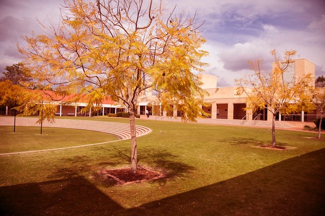 Photograph of the university's amphitheatre